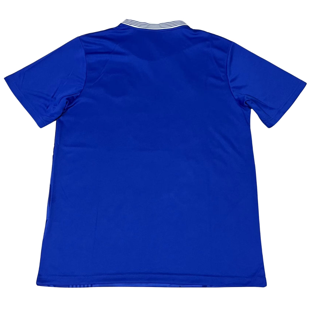 Fans version 24/25 Everton Home